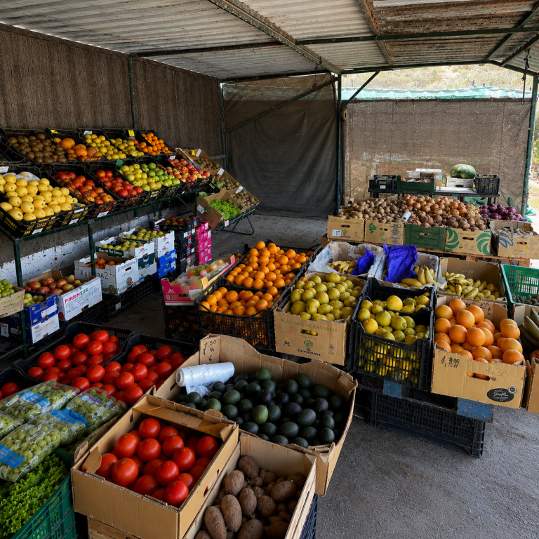 Finca La Caldera: Discover a Hidden Eco-Farm in South Tenerife