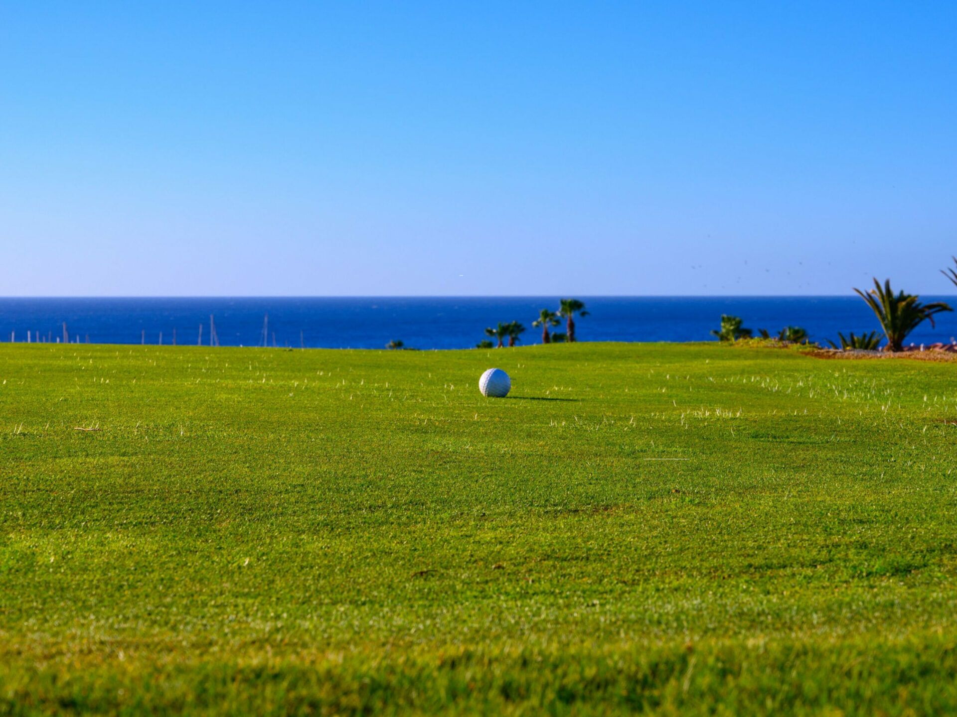Golfplatz Amarilla Golf